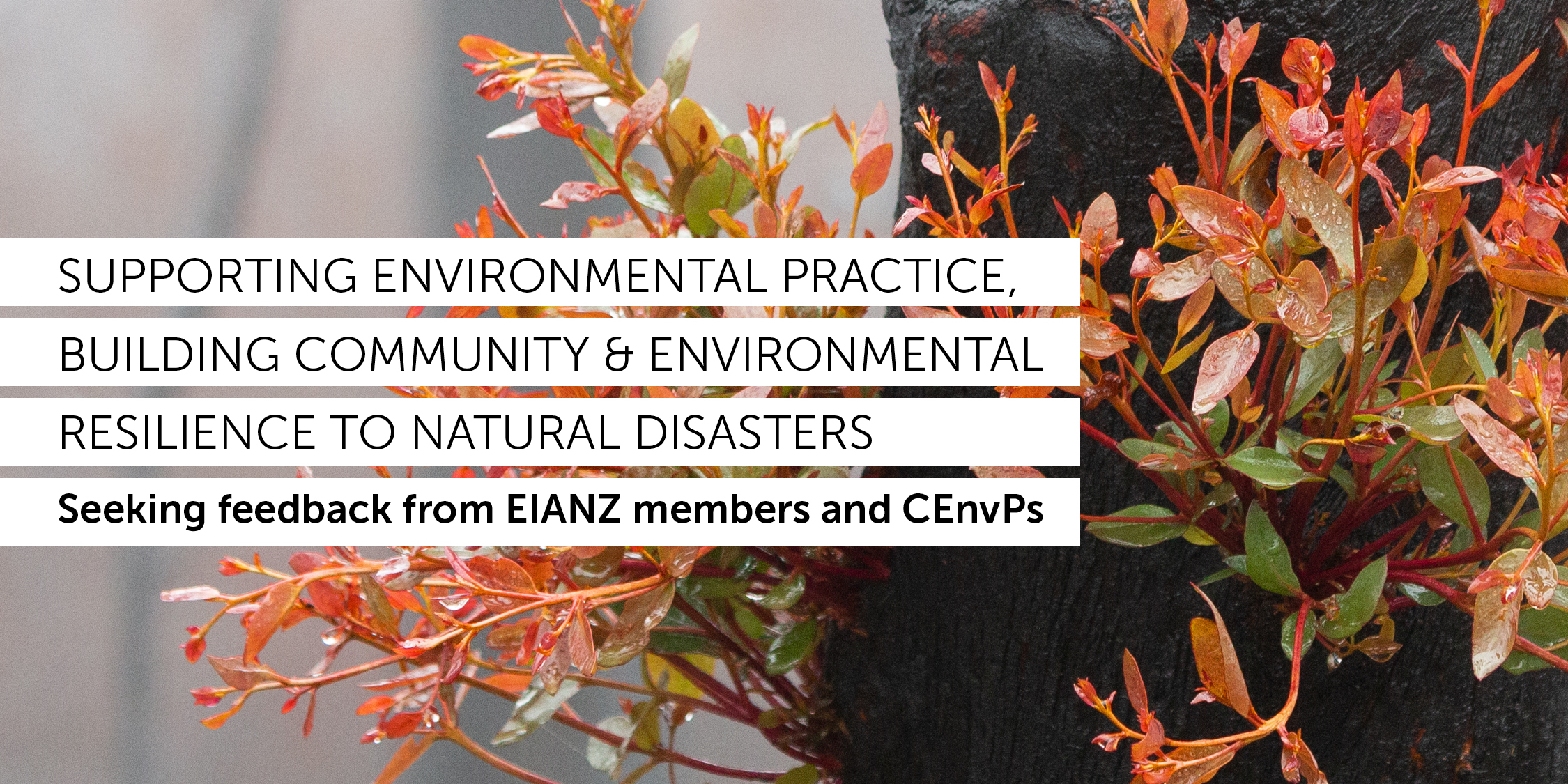 Supporting environmental practice, building community & environmental resilience to natural disasters